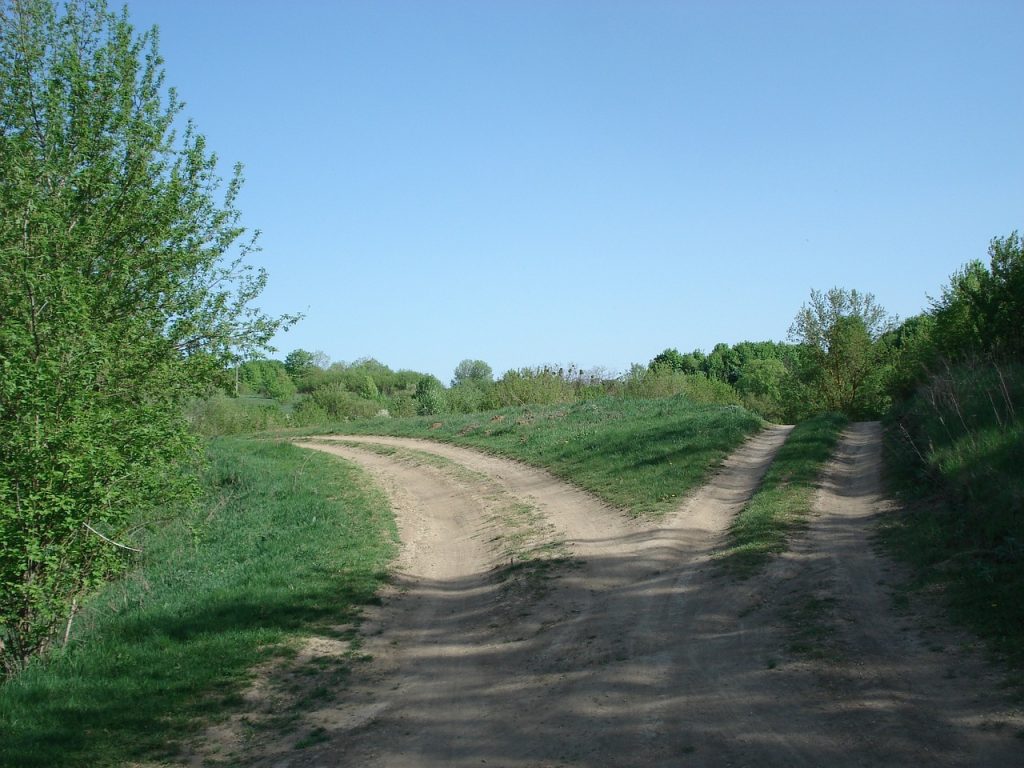 roads, split, fork, divided, nature, dirt, decision, farm track, rural, field path, dirt road, country lane, summer, split, split, divided, decision, decision, decision, decision, decision, dirt road, dirt road, dirt road